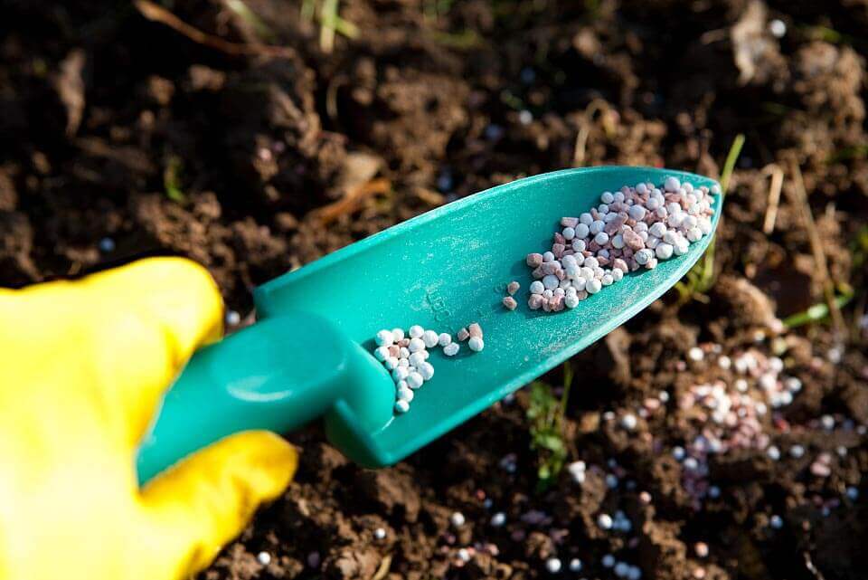 Agents chélateurs : une force clé pour une production agricole durable et efficace