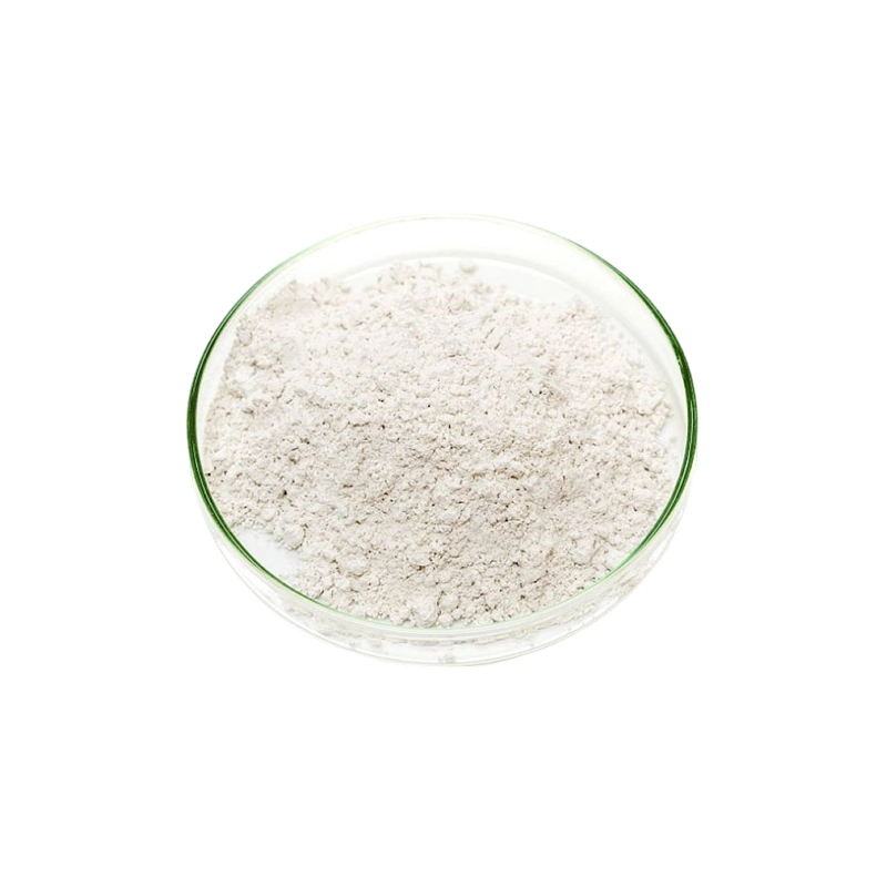 Acide L aspartique (acide L aspartique)