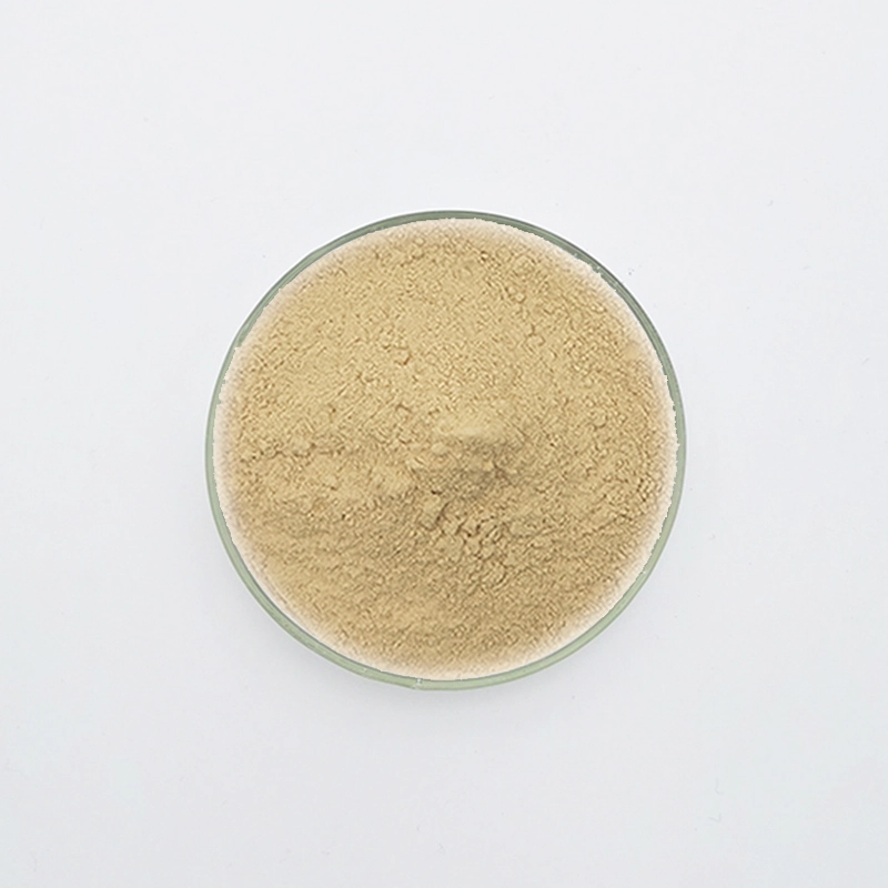 Retardateur de gypse WN-701 (WN-701)