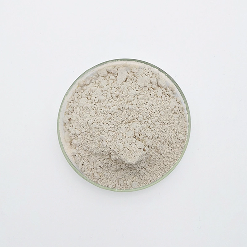 WN-721 Retardateur de gypse (WN-721)